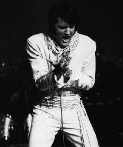 Photo of Elvis